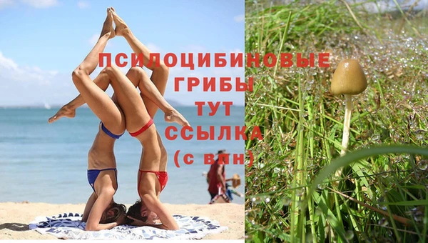 соль курить ск Аркадак