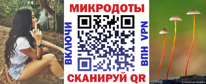 Псилоцибиновые грибы Cubensis  Великие Луки 